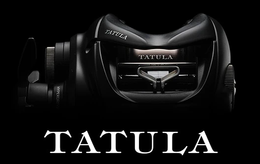 Daiwa 24 TATULA SV TW
