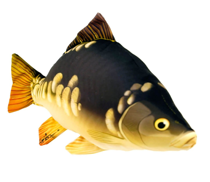 New Tecnipesca Gaby la carpa – S