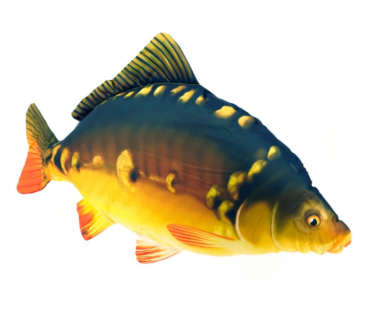 New Tecnipesca Gaby la carpa – L