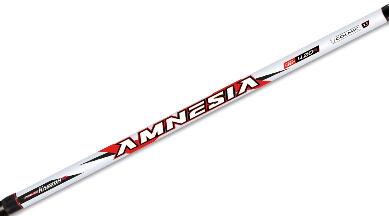 colmic AMNESIA