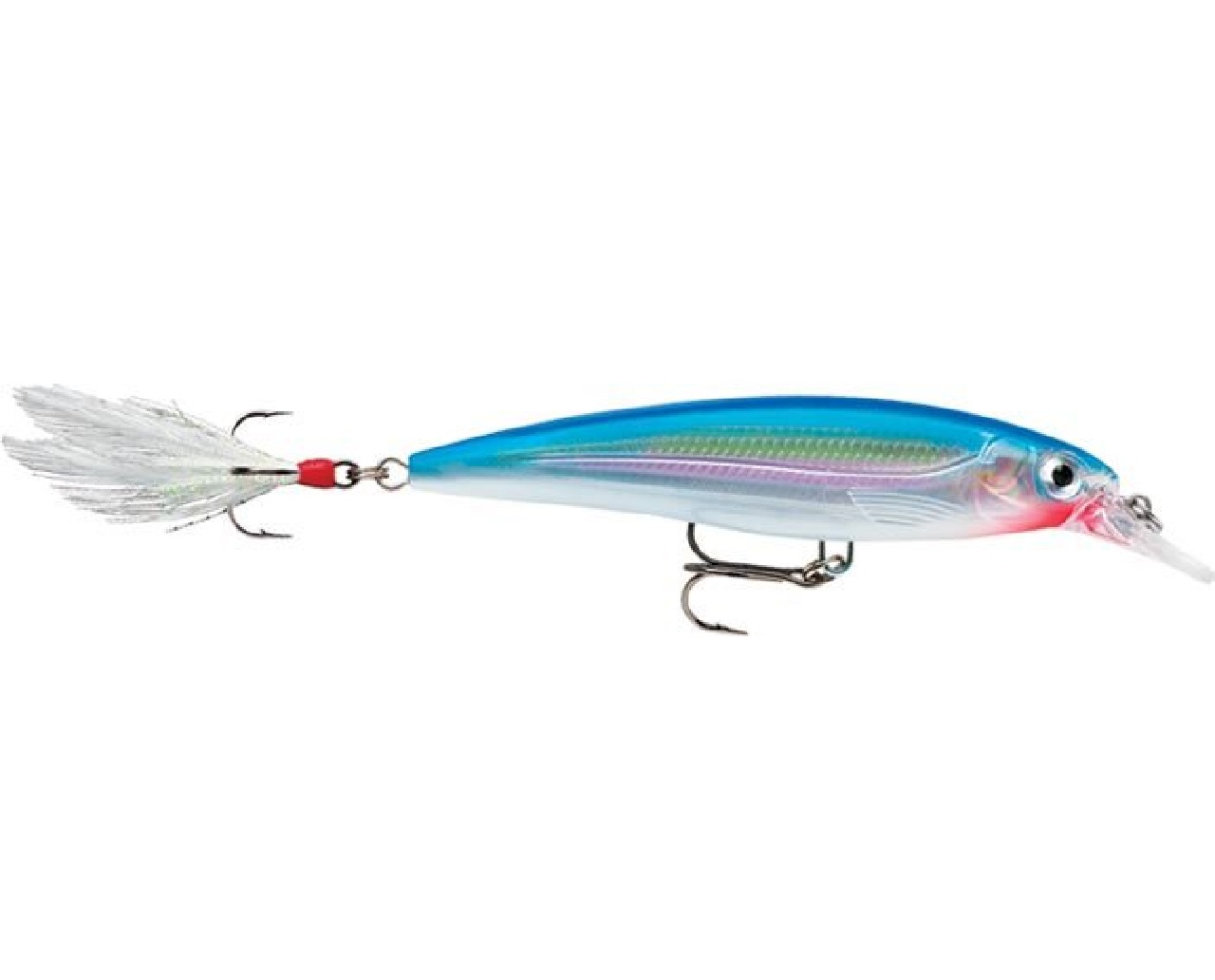 RAPALA X-RAP XR-4