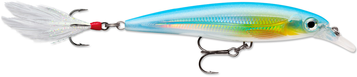 RAPALA X-RAP XR 06